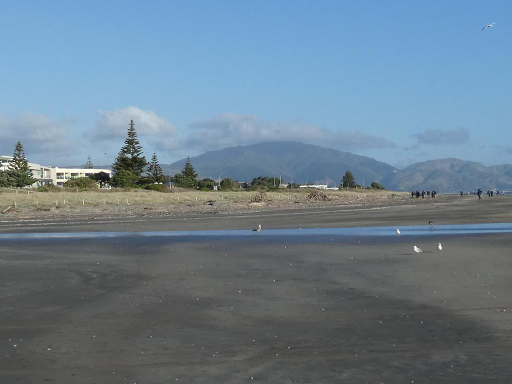 Apartment 4A - By The Beach Paraparaumu Exteriör bild